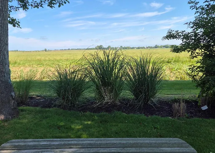 Villachiller * Sint Maarten