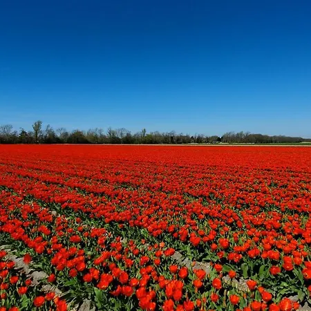 Villachiller Sint Maarten