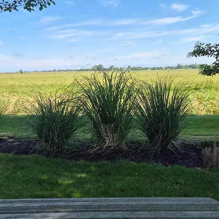 Villachiller * Sint Maarten