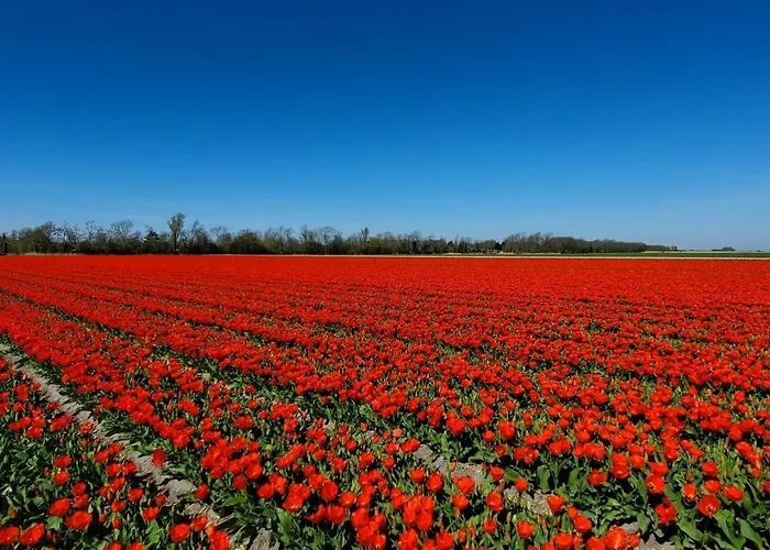 Villachiller Sint Maarten
